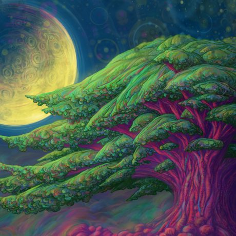 A digital, Procreate painting drawing of a tree glowing in the moonlight