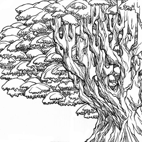 An ink drawing of a black and white monolithic old growth, umbrella tree from my sketchbook. This is part of an ongoing project of tiny hand drawn ink drawings in 3 x 5 inch sketchbooks. These will eventually be collected and published as an adult colouring book.