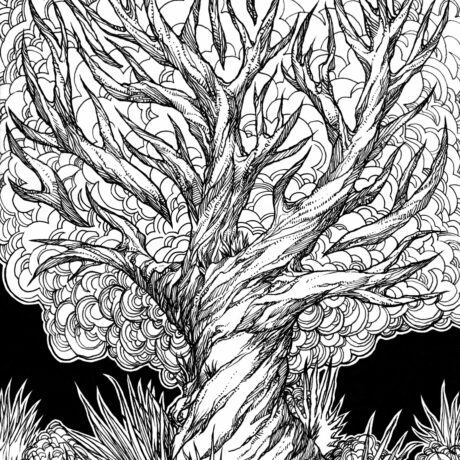 An ink drawing of a black and white twisted fire tree from my sketchbook. This is part of an ongoing project of tiny hand drawn ink drawings in 3 x 5 inch sketchbooks. These will eventually be collected and published as an adult colouring book.