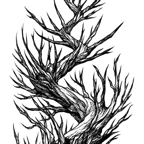 An ink drawing of a black and white a dead zigzag tree from my sketchbook. This is part of an ongoing project of tiny hand drawn ink drawings in 3 x 5 inch sketchbooks. These will eventually be collected and published as an adult colouring book.