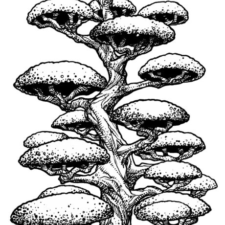 An ink drawing of a black and white manicured mushroom cap tree from my sketchbook. This is part of an ongoing project of tiny hand drawn ink drawings in 3 x 5 inch sketchbooks. These will eventually be collected and published as an adult colouring book.