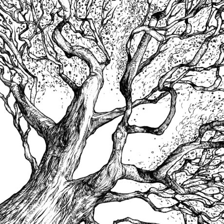 An ink drawing of a black and white giant elm tree in spring from my sketchbook. This is part of an ongoing project of tiny hand drawn ink drawings in 3 x 5 inch sketchbooks. These will eventually be collected and published as an adult colouring book.