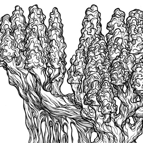 An ink drawing of a black and white fungus like, hard candy textured tree from my sketchbook. This is part of an ongoing project of tiny hand drawn ink drawings in 3 x 5 inch sketchbooks. These will eventually be collected and published as an adult colouring book.